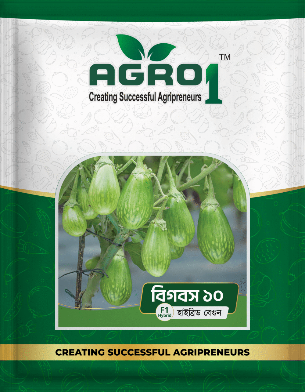 বিগবস 10 (হাইব্রিড বেগুন)