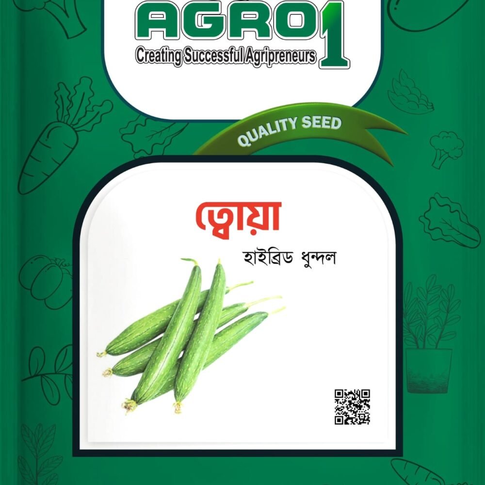 ত্বোয়া