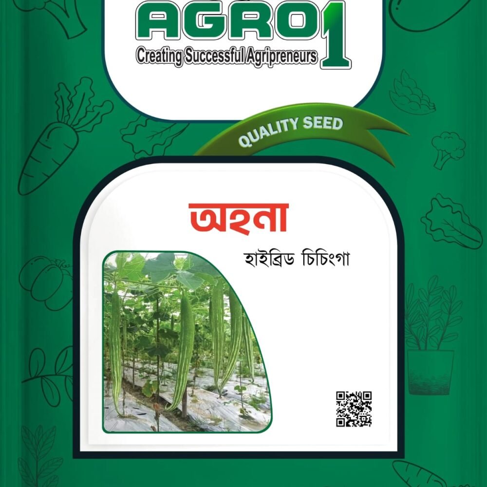 অহনা