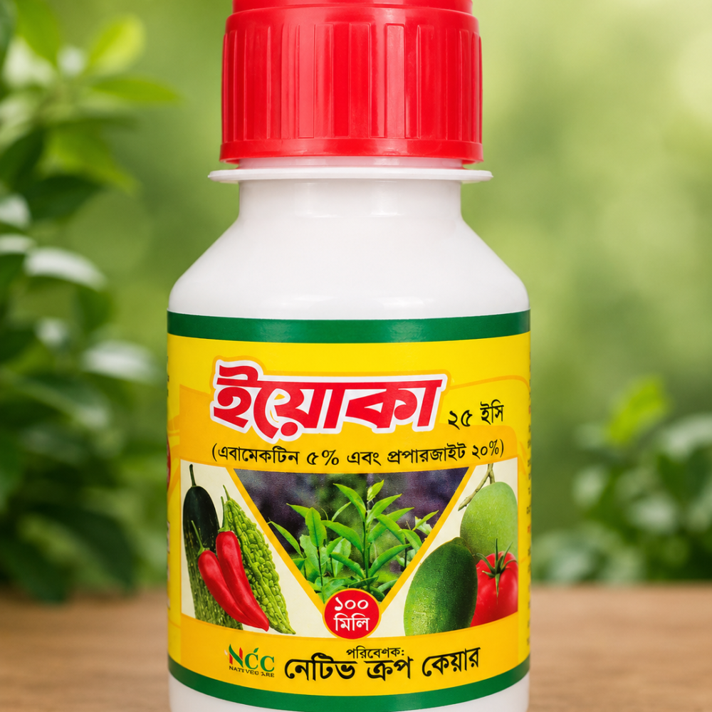 ইয়োকা ২৫ ইসি